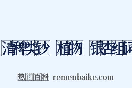 清稗类钞·植物·银杏组词是什么意思的图片